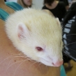 Podzimn sraz 2011/14
