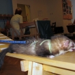 Podzimn� sraz 2011/8