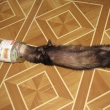 Relaxace